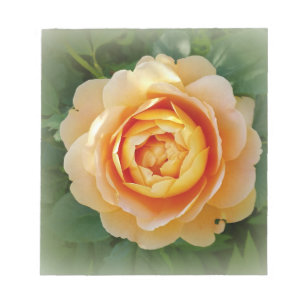 Bloc De Notas Rosa dorado