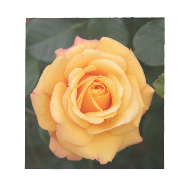Bloc De Notas rosa flores flor amor esposa novia (Frente)