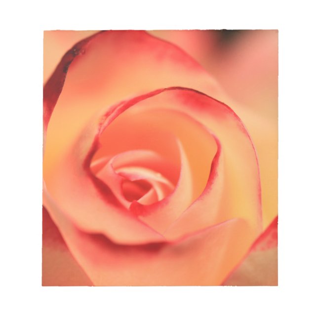 Bloc De Notas rosa naranja rosa floración (Frente)