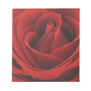 Bloc De Notas Rosa rojo floreciente