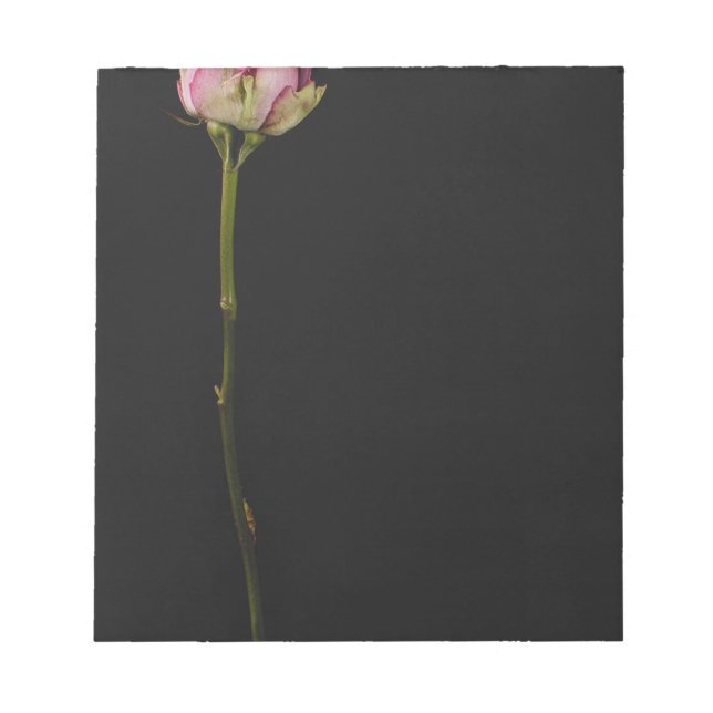 Bloc De Notas Rosa rosa 3 (Frente)