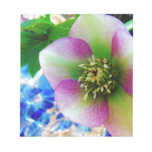 Bloc De Notas Rosa rosa de Cuaresma bola de vidrio azul
