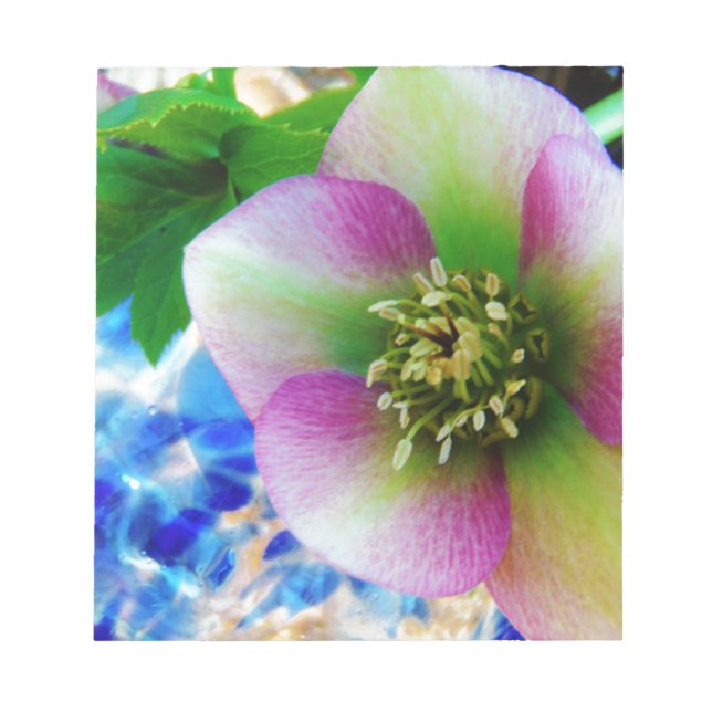 Bloc De Notas Rosa rosa de Cuaresma bola de vidrio azul (Frente)