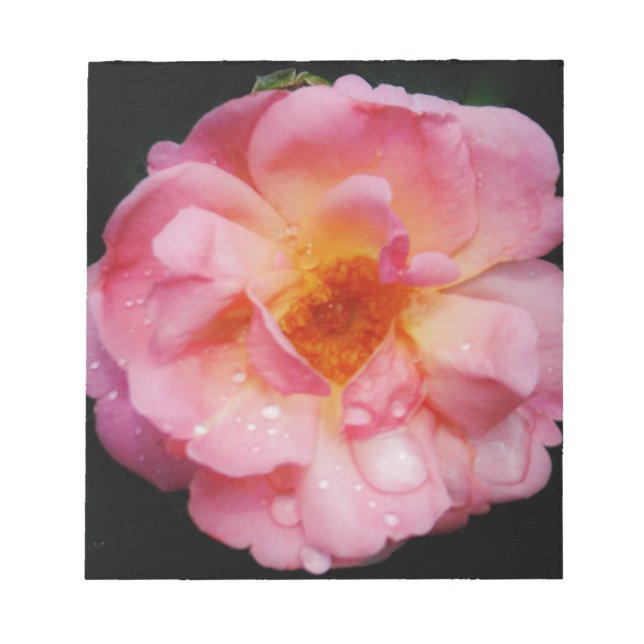 Bloc De Notas Rosa rosada con Dew Drogas fondo negro (Frente)