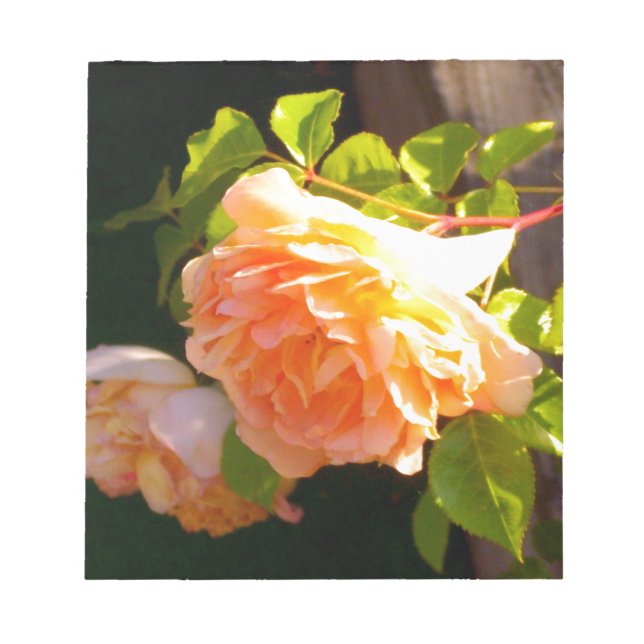 Bloc De Notas Rosas de Country Peach (Frente)