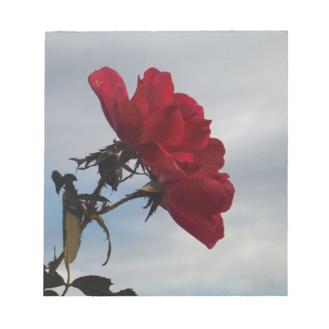 Bloc De Notas Roses rojos contra un brillante cielo azul (Frente)