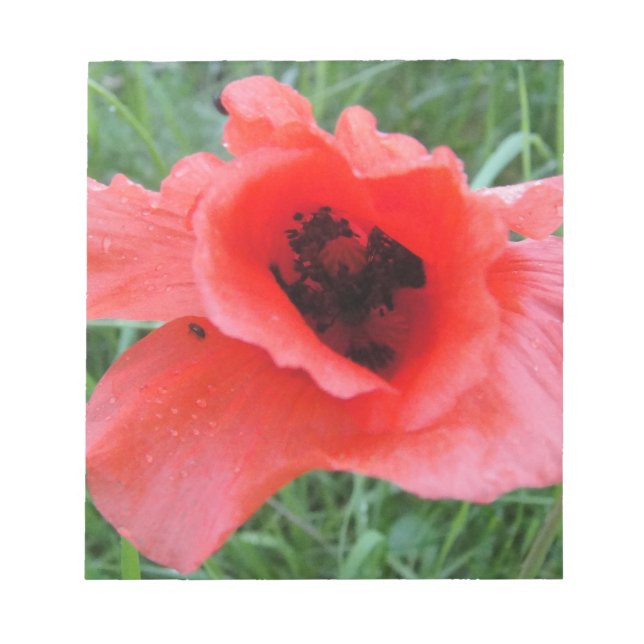 Bloc De Notas Roter Mohnblumenkelch (Frente)