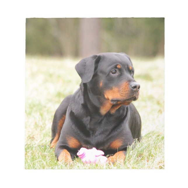 Bloc De Notas Rottweiler Dog (Frente)