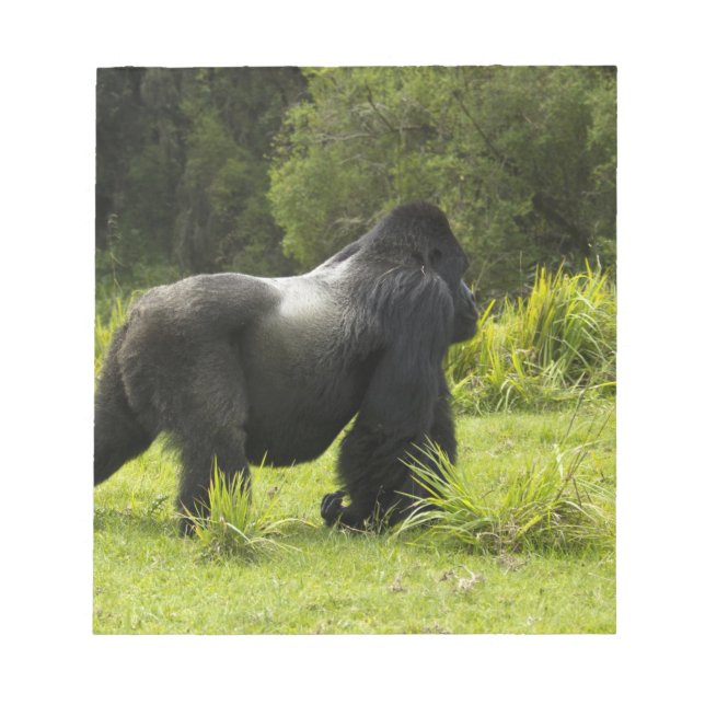 Bloc De Notas Ruanda, Parque Nacional de los Volcanes (Frente)