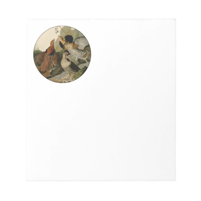 Bloc De Notas Ruffed Grouse Audubon Game Bird (Frente)