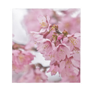 Bloc De Notas Sakura cerezo florece rosa pálido