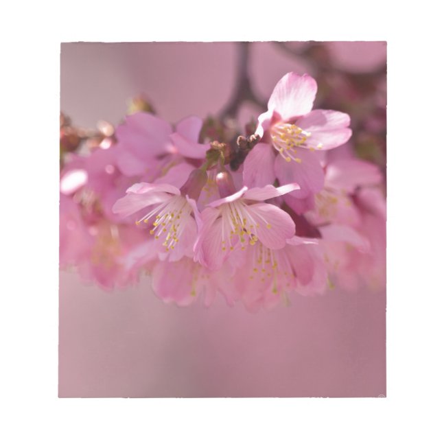 Bloc De Notas Sakura cerezo florecimiento Delicado Bouquet Rosa (Frente)
