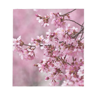 Bloc De Notas Sakura cerezos florecen en capas rosadas pasteles