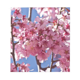 Bloc De Notas Sakura cerezos florecen estrellas rojas