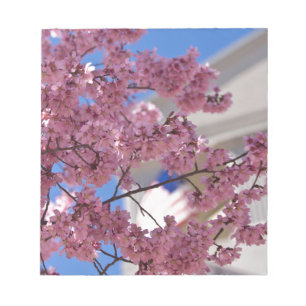 Bloc De Notas Sakura Cherry florece Americana