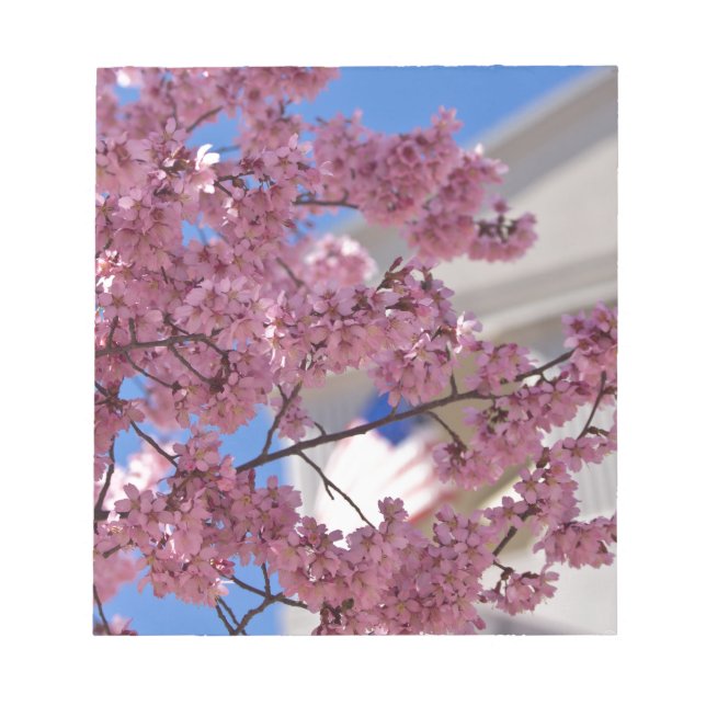 Bloc De Notas Sakura Cherry florece Americana (Frente)