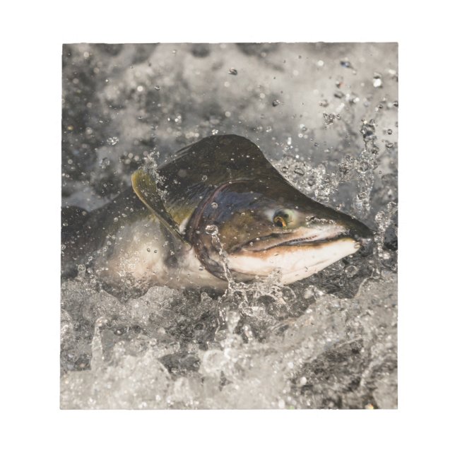Bloc De Notas Saltando Salmon (Frente)