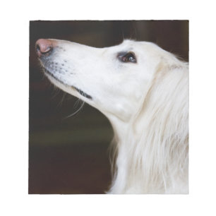 Bloc De Notas Saluki que mira para arriba
