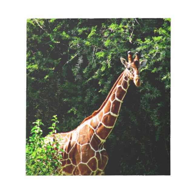Bloc De Notas Samburu Giraffe (Frente)