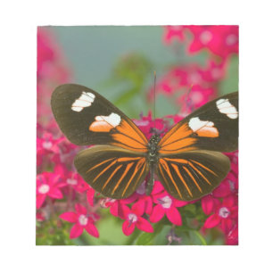 Bloc De Notas Sammamish Washington Fotografía de Mariposa en 14