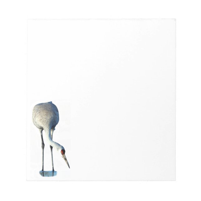 Bloc De Notas Sandhill Crane Photo Stationery Notepad (Frente)