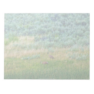 Bloc De Notas Sandhill Cranes