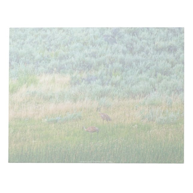 Bloc De Notas Sandhill Cranes (Frente)
