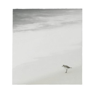 Bloc De Notas Sandpiper costero en la playa