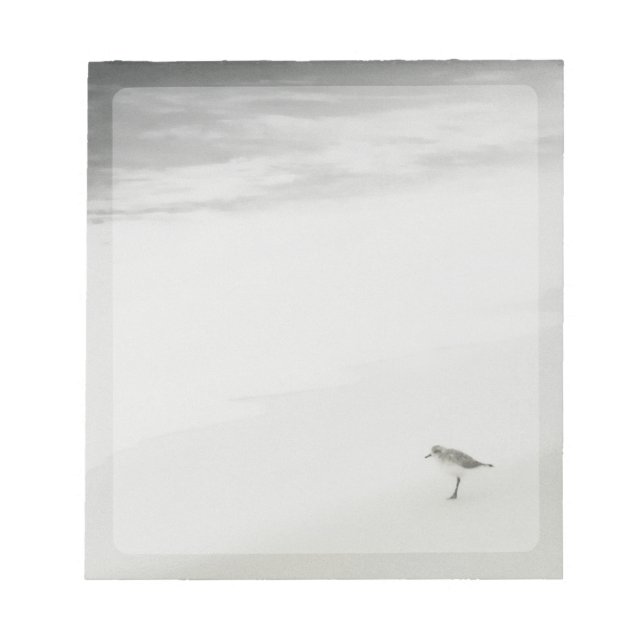 Bloc De Notas Sandpiper costero en la playa (Frente)