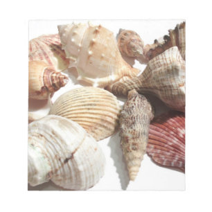 Bloc De Notas Seashells