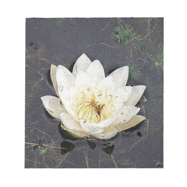 Bloc De Notas Seerose (Frente)