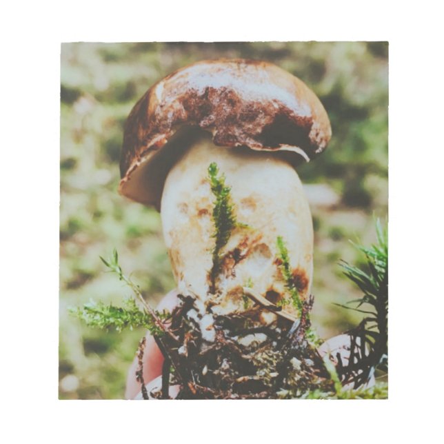 Bloc De Notas Setas Porcini en el bosque sueco (Frente)