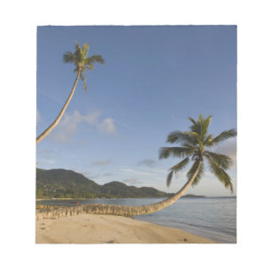 Bloc De Notas Seychelles, isla de Mahe, palma horizontal,