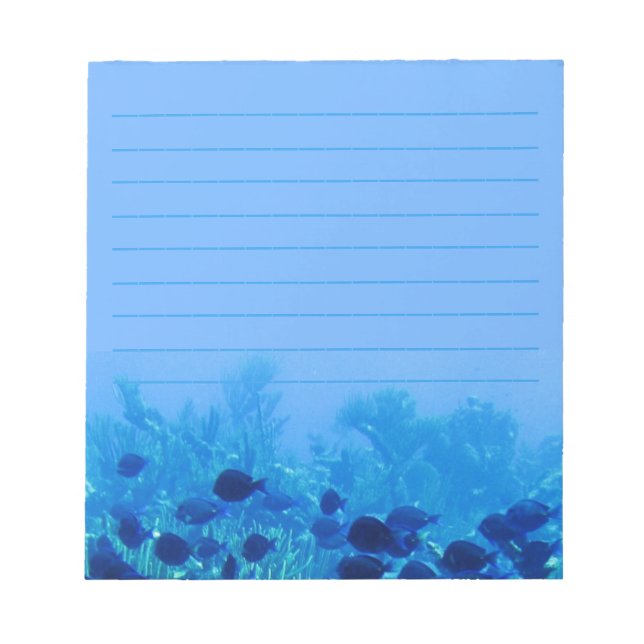 Bloc De Notas Shoal de Blue Discus Fish Blue Lining (Frente)