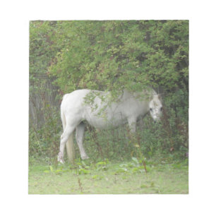 Bloc De Notas Shy White Horse Notepad