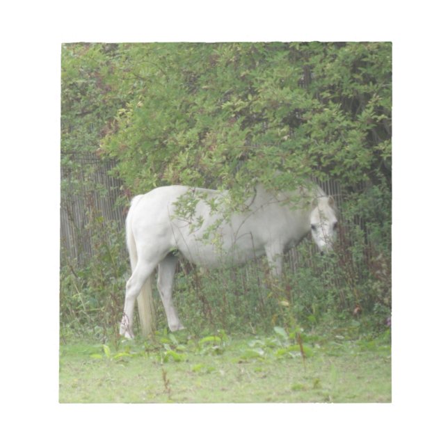 Bloc De Notas Shy White Horse Notepad (Frente)