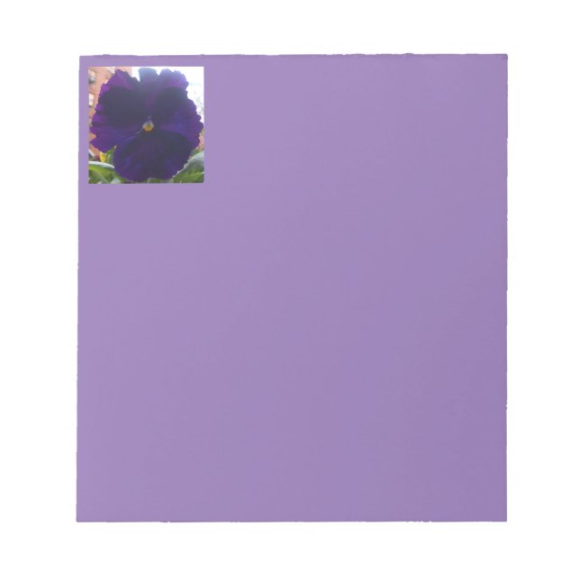 Bloc De Notas Sibylla (Frente)