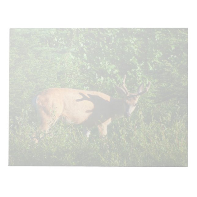 Bloc De Notas Siga su camino (Frente)