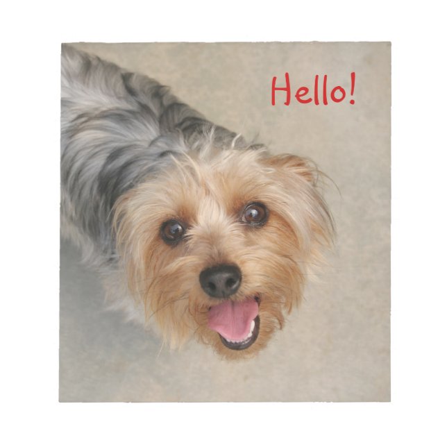 Bloc De Notas Silkie terrier notepad (Frente)