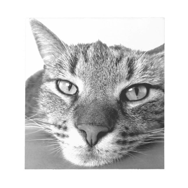 Bloc De Notas Sleepy Cat (Frente)