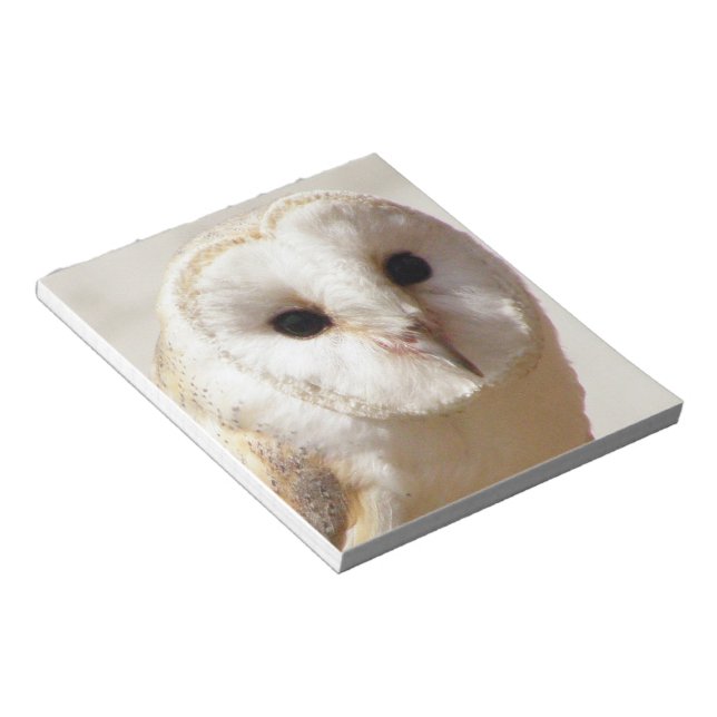 Bloc De Notas Snowy Barn Owl Notepad (Lado Derecho)