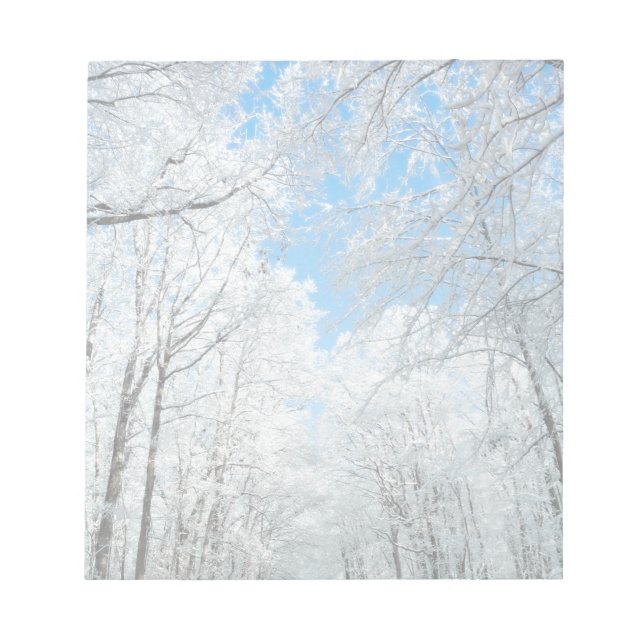 Bloc De Notas Snowy Winter Road Scene (Frente)