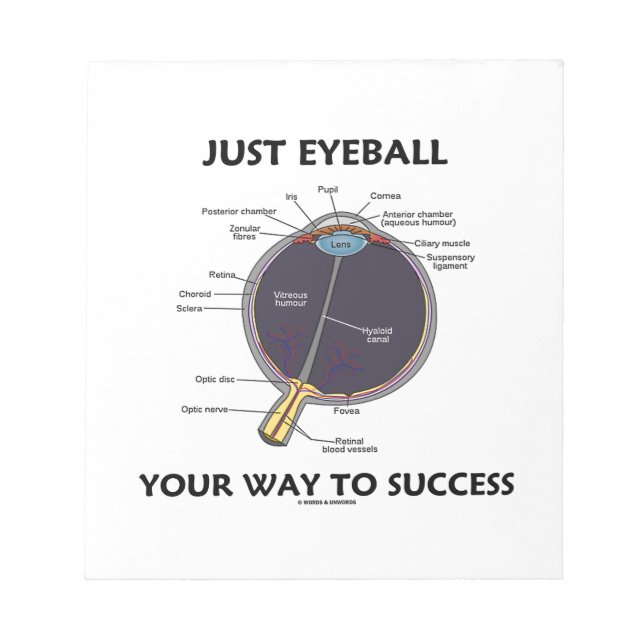 Bloc De Notas Solo Eyeball Tu Camino Al Éxito (Anatomía De Ojos) (Frente)