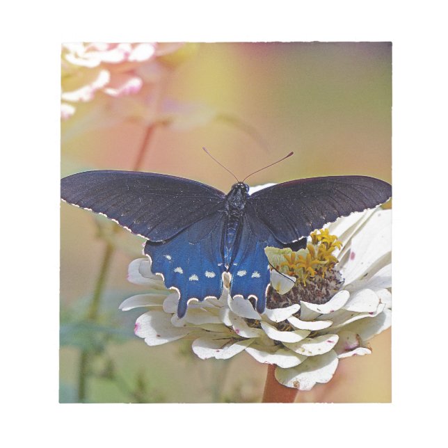 Bloc De Notas Spicebush Swallowtail (Frente)