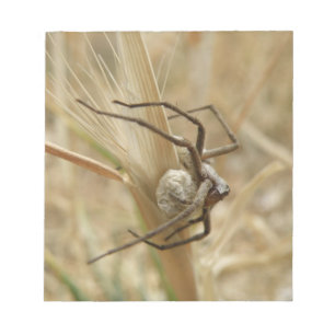 Bloc de notas Spider and Egg Sac