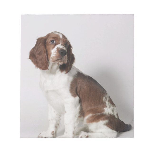 Bloc De Notas Springer spaniel (Frente)