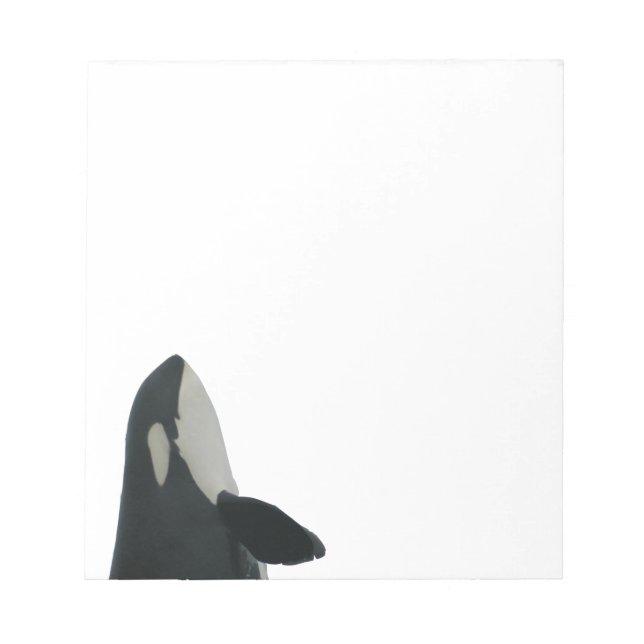 Bloc De Notas Spyhopping Orca Notepad (Frente)