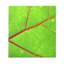 Bloc De Notas St Thomas 1