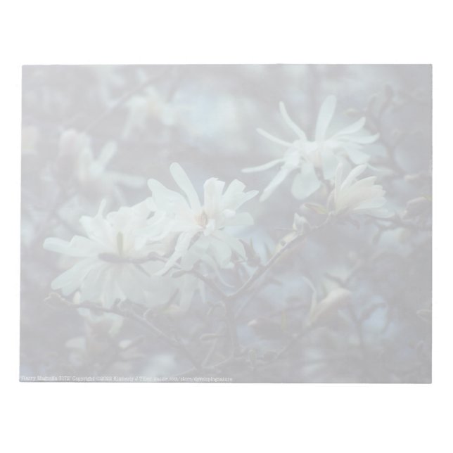 Bloc De Notas Starry Magnolia 3172 (Frente)