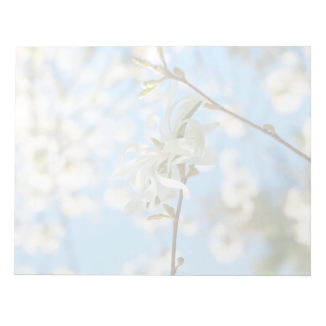 Bloc De Notas Starry Magnolia 6490 (Frente)